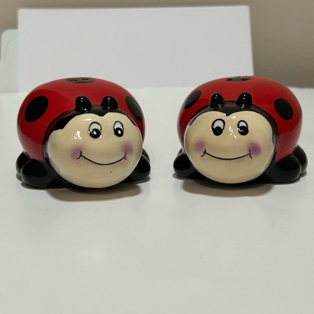burton+BURTON Ladybug Ceramic Salt & Pepper Shaker Set
